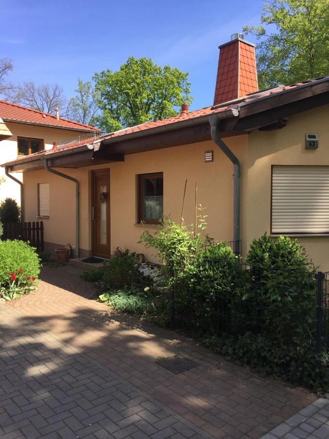 Ruhiges Ferienhaus ヴァンドリッツ エクステリア 写真