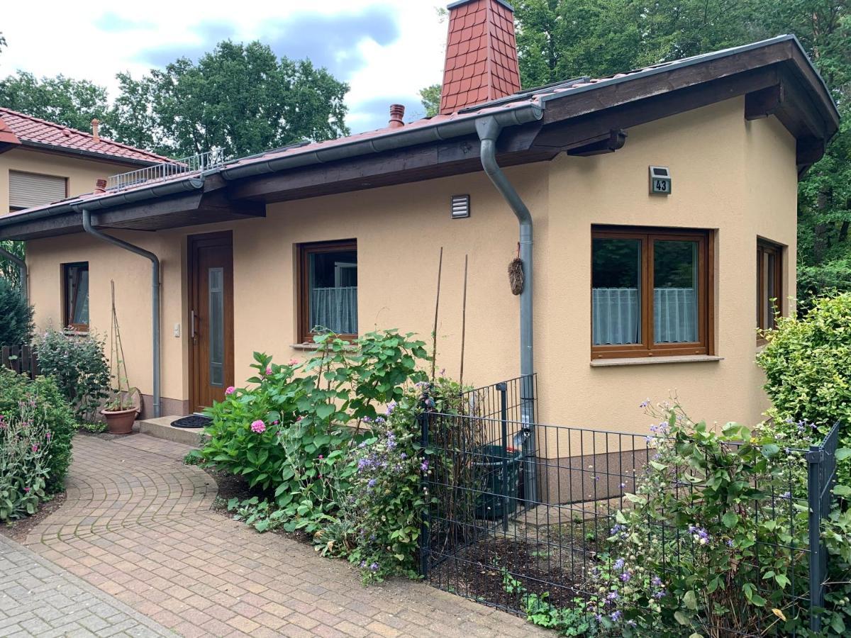Ruhiges Ferienhaus ヴァンドリッツ エクステリア 写真